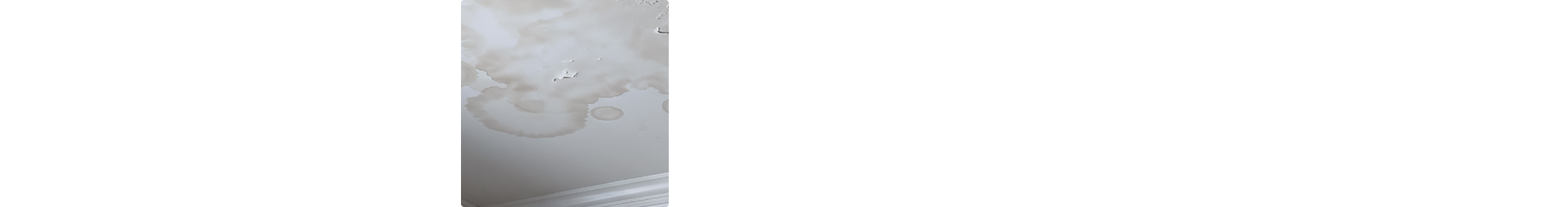 secound_main_bg01-02